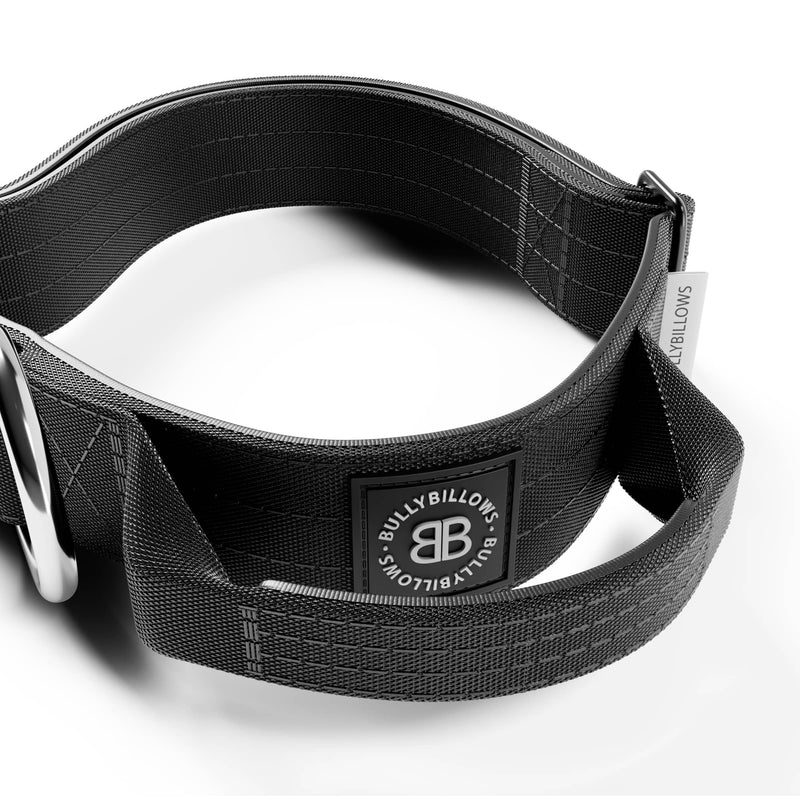 4cm Combat® Collar | With Handle & Rated Clip - Black v2.0 from CATDOG Store