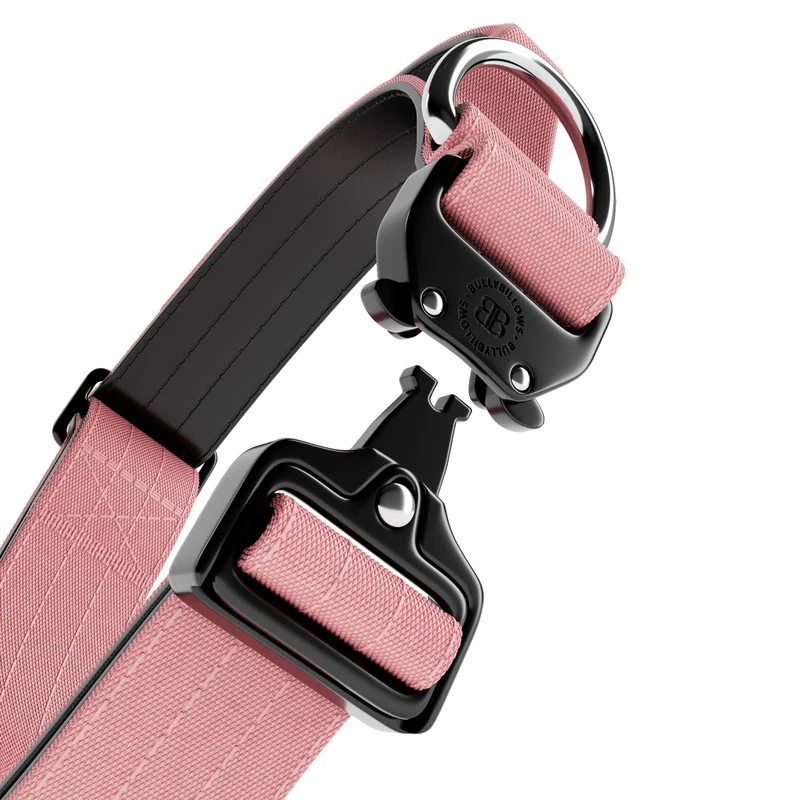 BULLYBILLOWS 4cm Combat Collar | With Handle & Rated Clip - Pink v2.0 from CATDOG Store