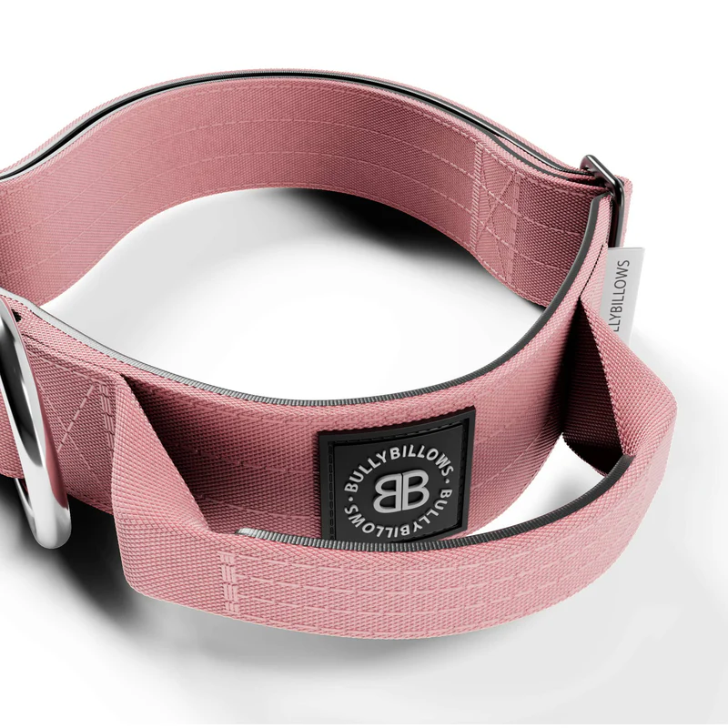 BULLYBILLOWS 4cm Combat Collar | With Handle & Rated Clip - Pink v2.0 - Image 3