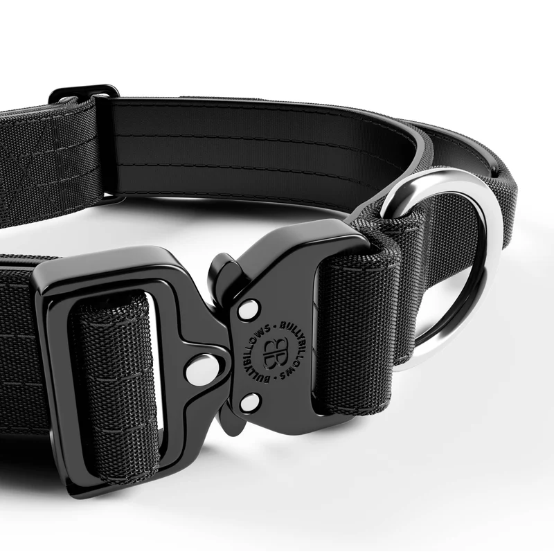 4cm Combat® Collar | With Handle & Rated Clip - Black v2.0 from CATDOG Store