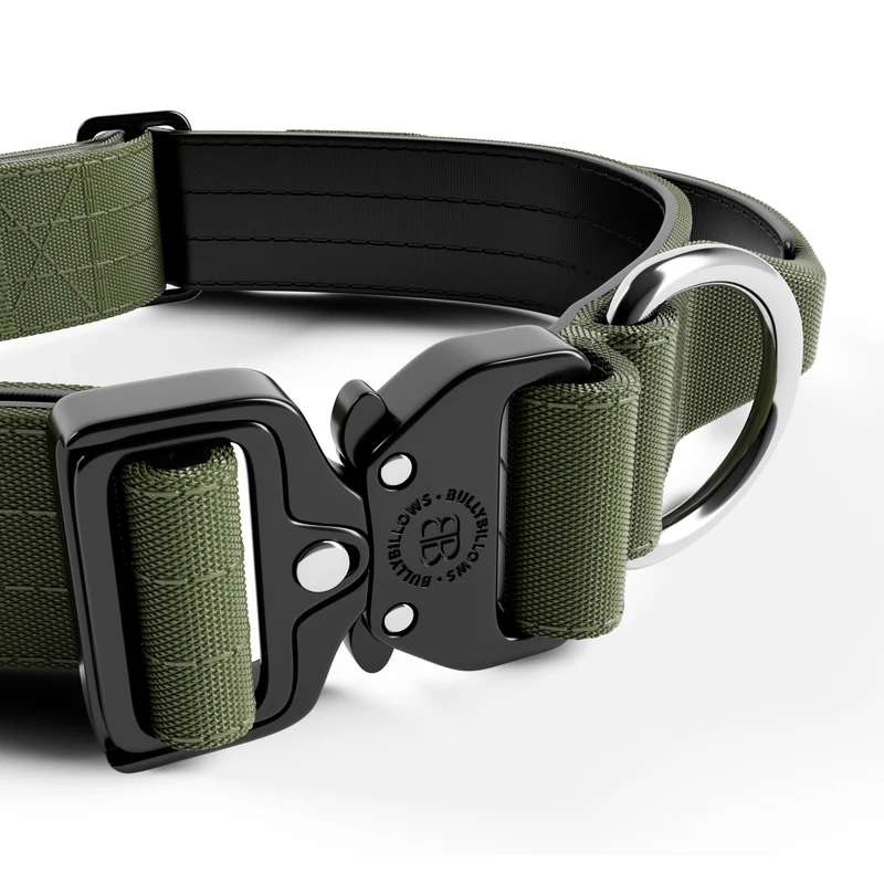 BULLYBILLOWS 4cm Combat Collar | With Handle & Rated Clip - Khaki v2.0 from CATDOG Store