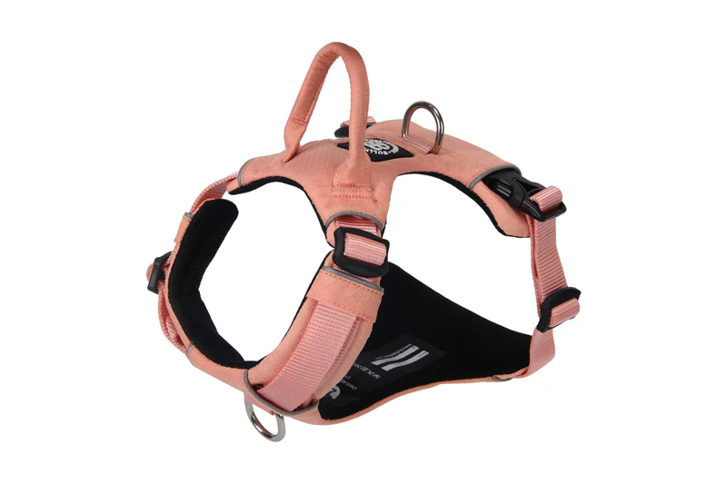 BULLYBILLOWS Air Mesh Harness - Anti-Pull, With Handle, Non Restrictive & Adjustable - Pink from CATDOG Store