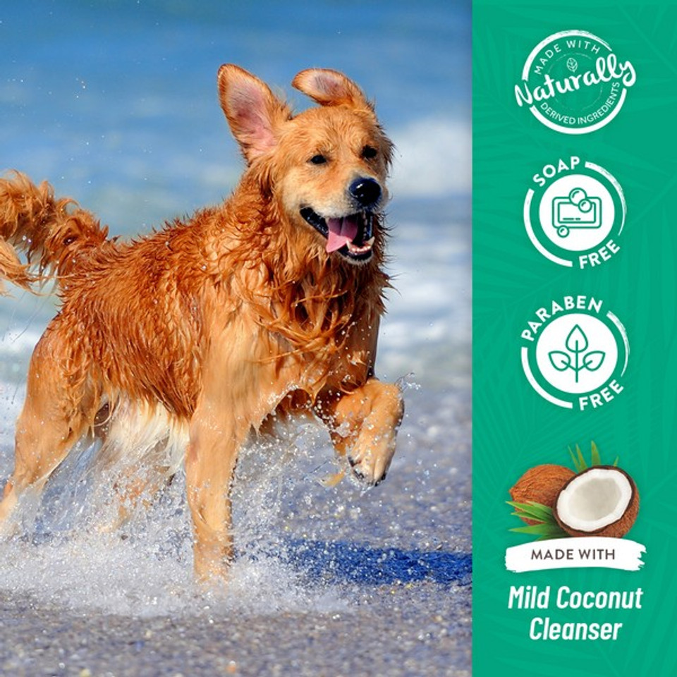TropiClean WHITENING Awapuhi and Coconut Shampoo | Dog & Cat | 355ml - Image 7