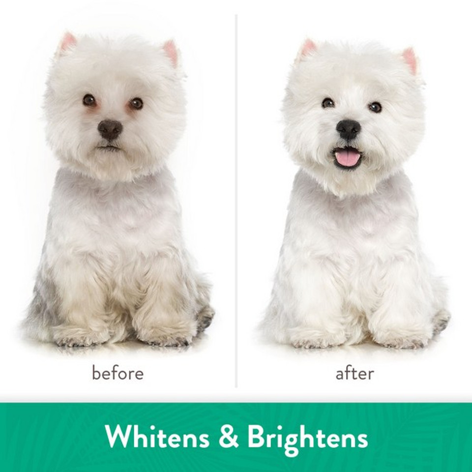 TropiClean WHITENING Awapuhi and Coconut Shampoo | Dog & Cat | 355ml - Image 4