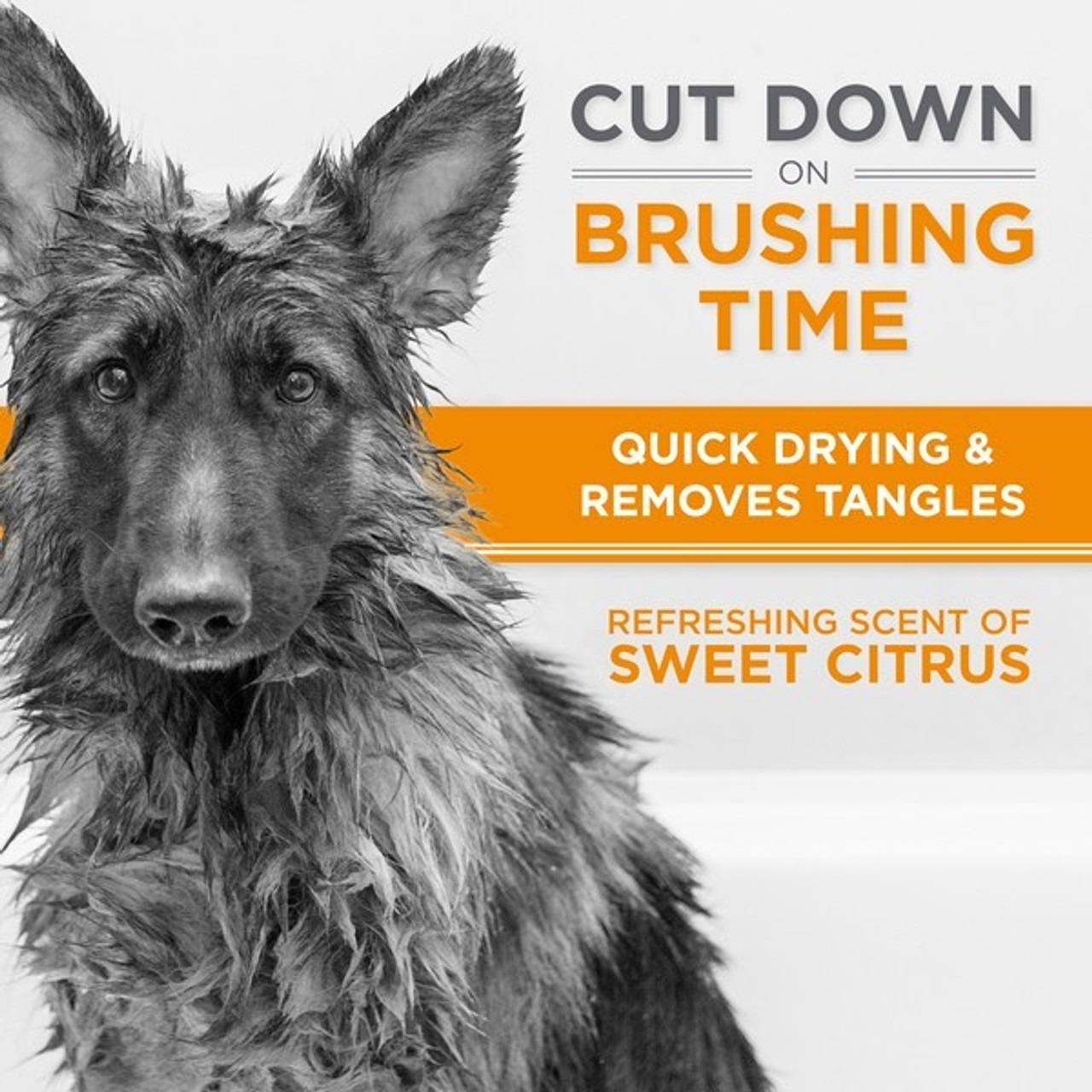 TropiClean Perfect Fur THICK DOUBLE COAT Shampoo for Dogs | 473ml - Image 5