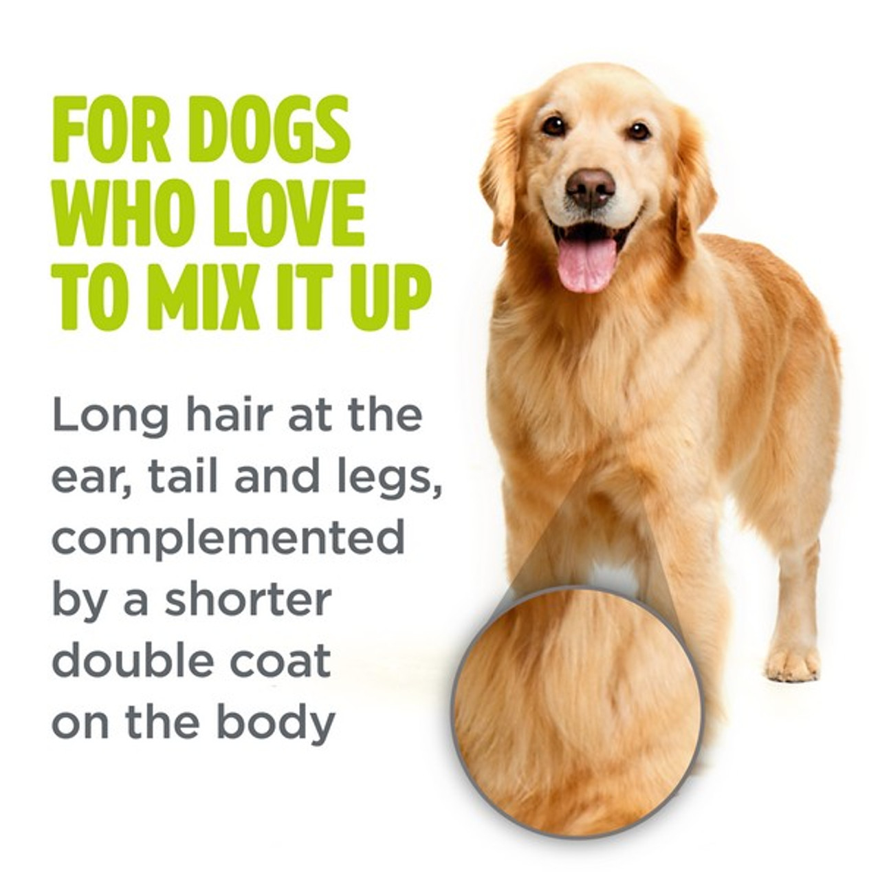 TropiClean Perfect Fur COMBINATION COAT Shampoo for Dogs | 473ml - Image 7