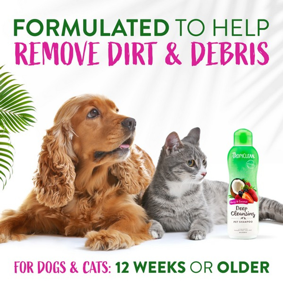 TropiClean Berry and Coconut Shampoo | Deep Cleansing - Image 3