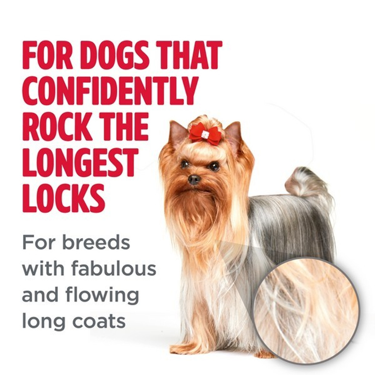 TropiClean Perfect Fur LONG HAIRED COAT Shampoo for Dogs | 473ml - Image 7