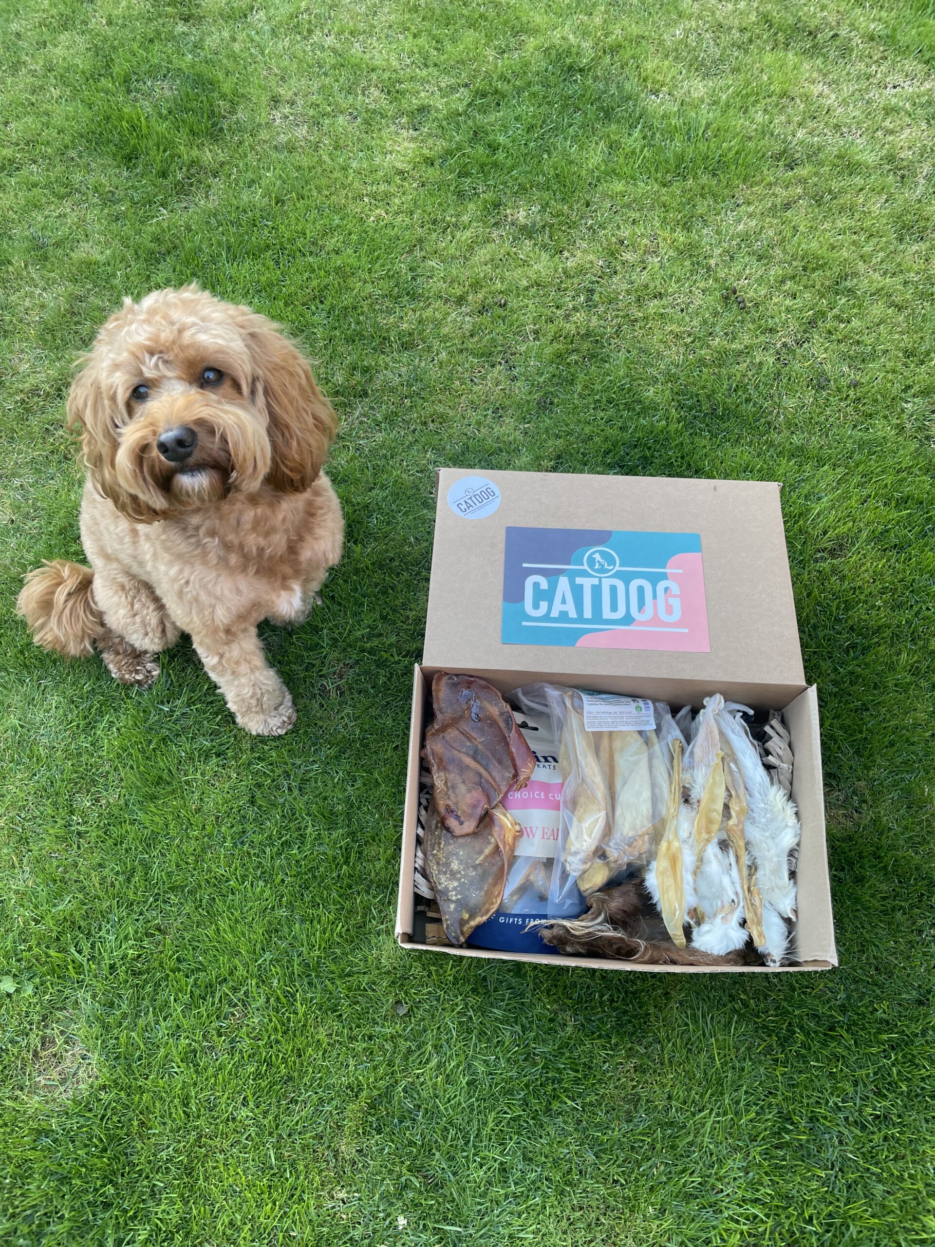 'I'm all Ears' Treat Box - Image 3