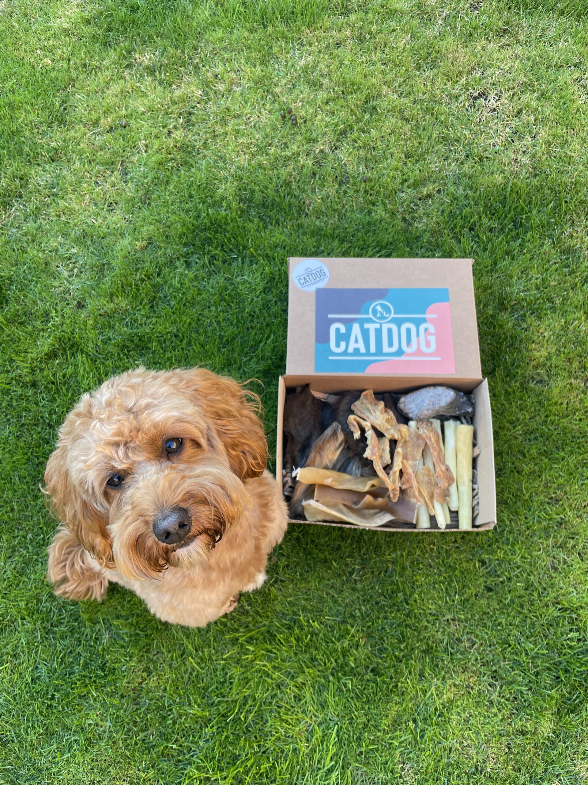 The Buffalo Box - Image 3