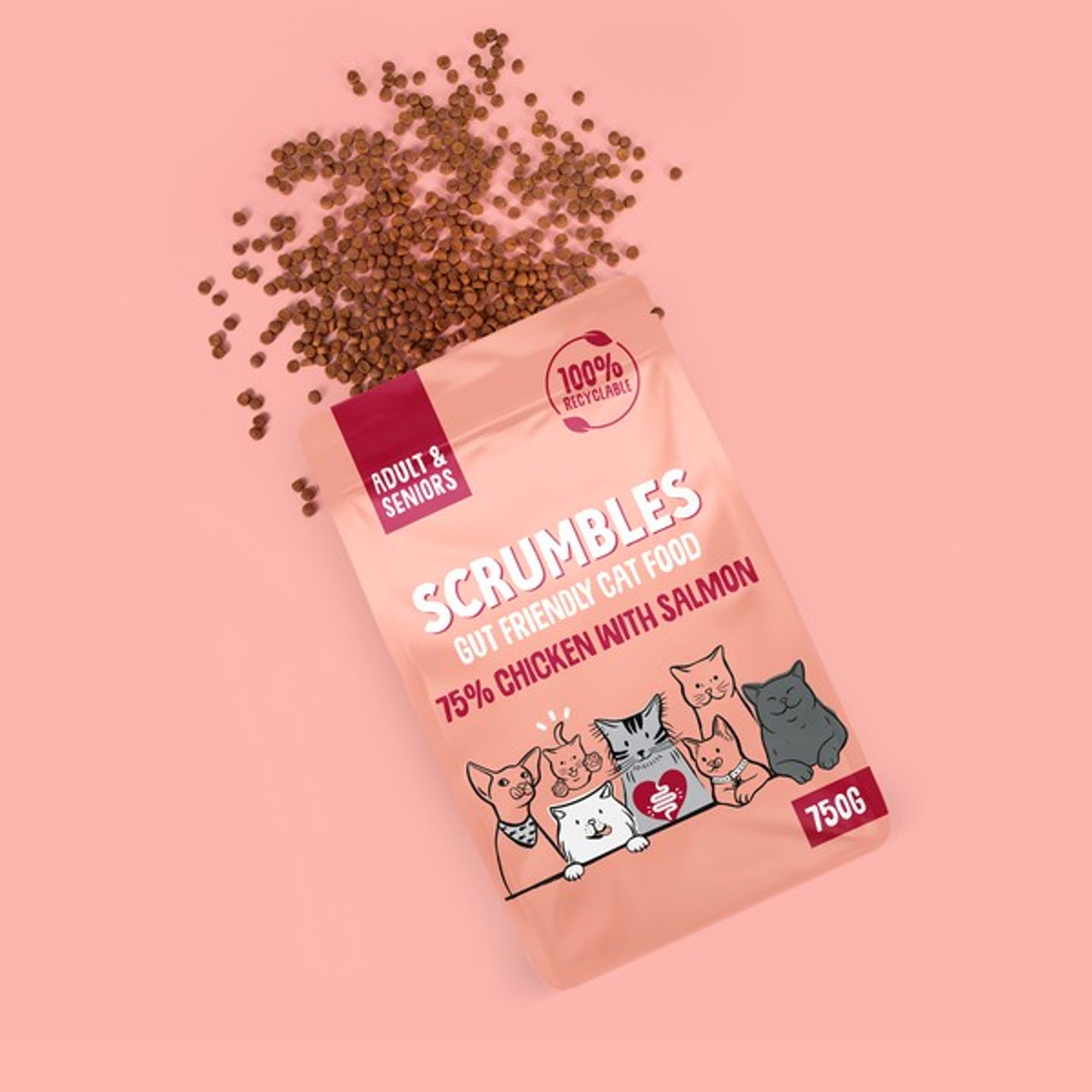 Scrumbles Adult Dry Cat Food | Salmon | 750g - Image 3