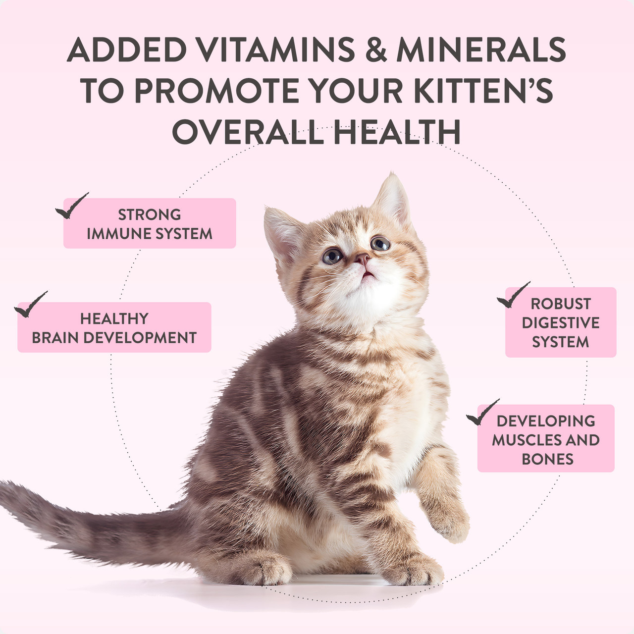 Schesir Baby Mousse | Kitten | Chicken | 70g - Image 8