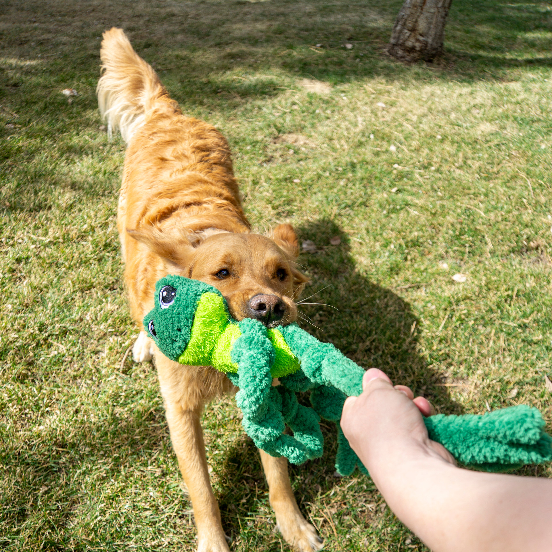 KONG Knots Frog Lg/XL - Image 5